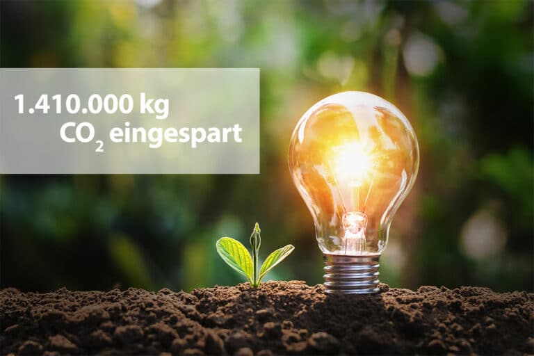 Glühbirne mit Pflanze